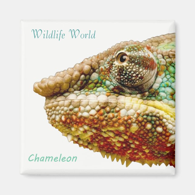 Imán Wildlife Magnet (Frente)