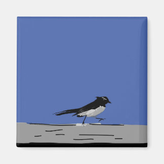Imán Willy Wagtail Magnet