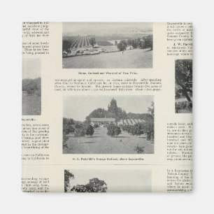 Imán Windsor, California