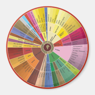 Imán Wine Aromas Wheel Magnet