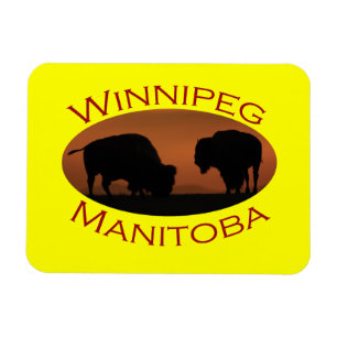 Imán Winnipeg