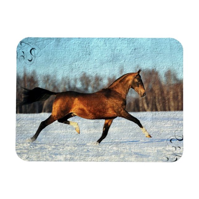 Imán Winter Akhal-teke (Horizontal)
