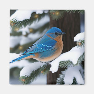 Imán Winter Bluebird