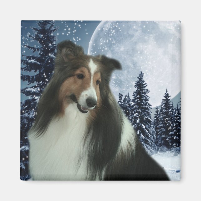 Imán Winter Duncan Magnet (Frente)