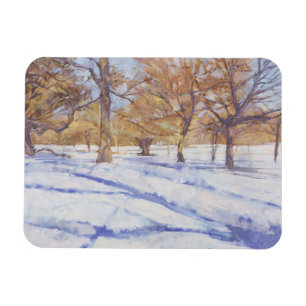 Imán Winter Richmond Park
