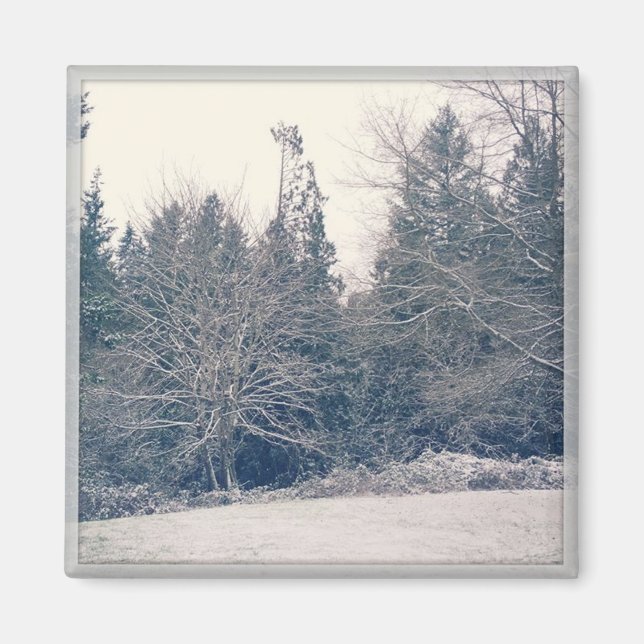 Imán Winter White (Frente)