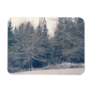Imán Winter White