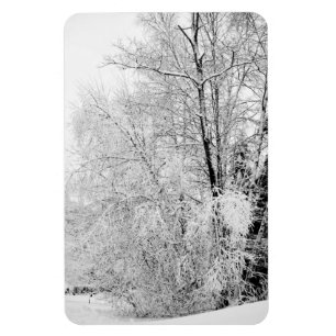 Imán Winter Whites