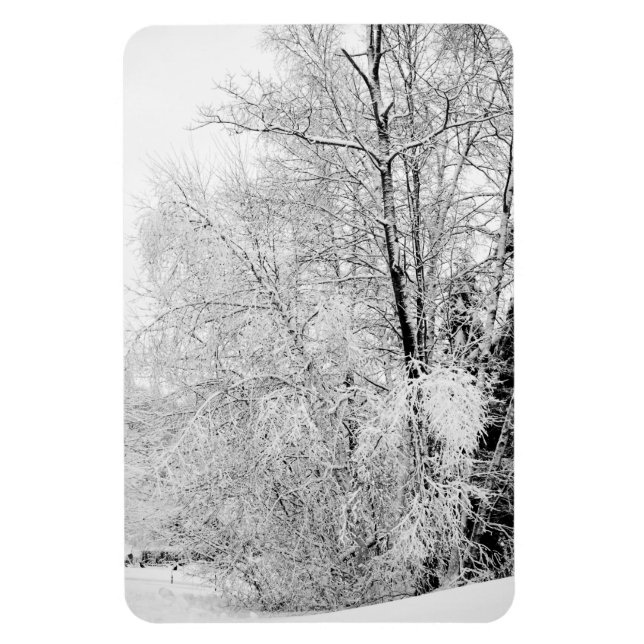 Imán Winter Whites (Vertical)