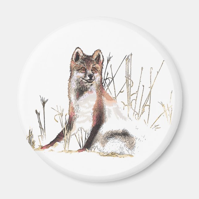 Imán Winter Wolf (Frente)