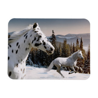 Imán Winter Wonderland