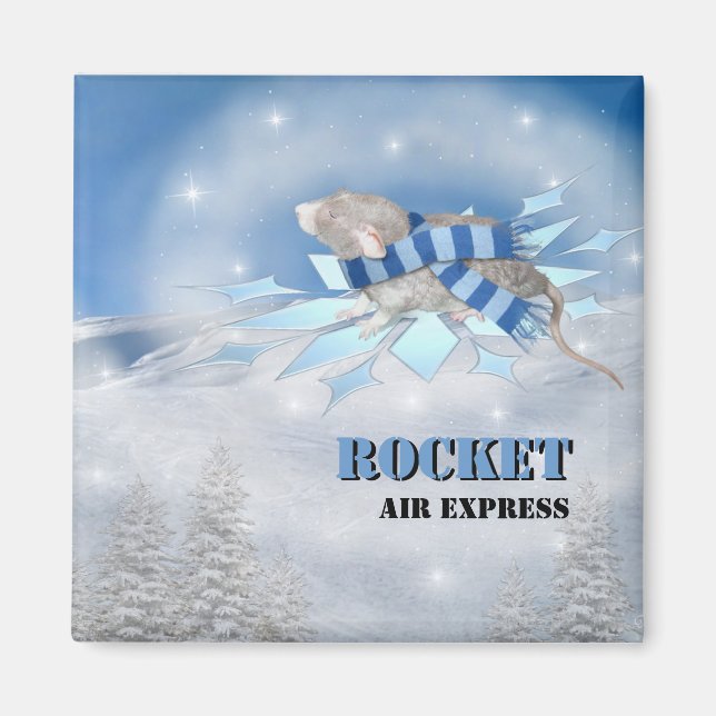 Imán Winterland Journey (Frente)