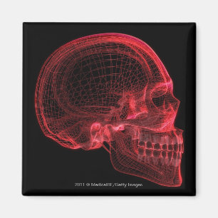 Imán Wireframe rojo de un cráneo