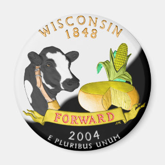 Imán Wisconsin Magnet