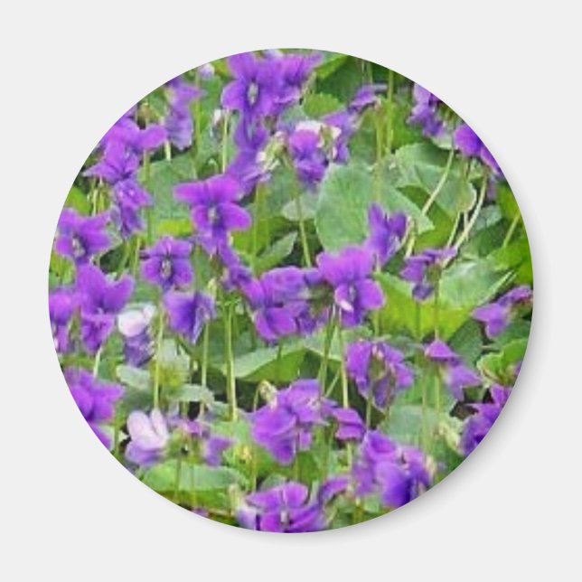Imán Wisconsin Wood Violets (Frente)
