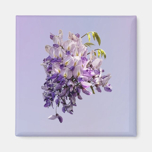 Imán Wisteria Delicada (Frente)
