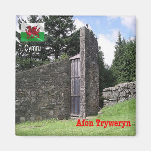 Imán WLS019 AFON TRYWERYN, Gales, Europa, Fridge