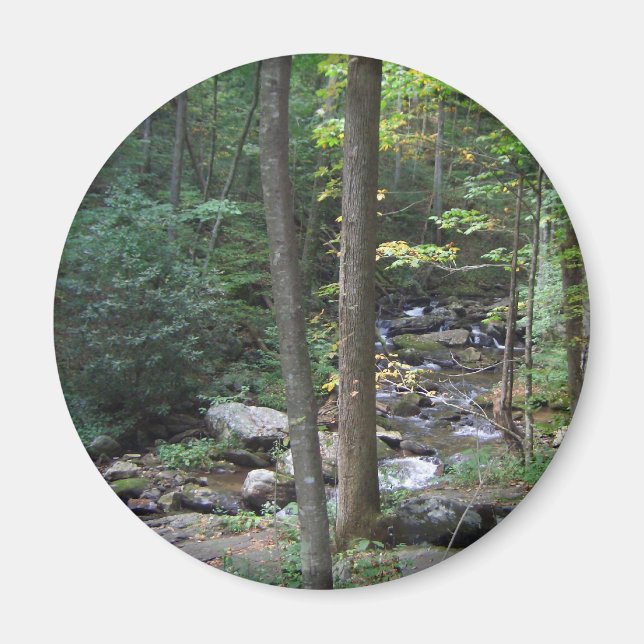 Imán Wodland Stream Magnet (Frente)