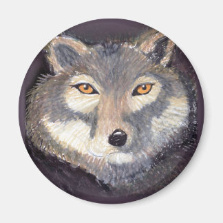 Imán Wolf