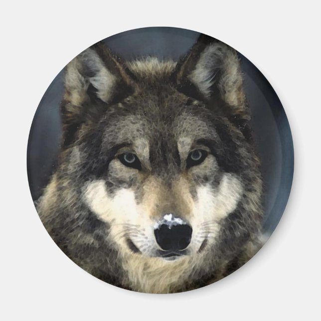 Imán Wolf (Frente)