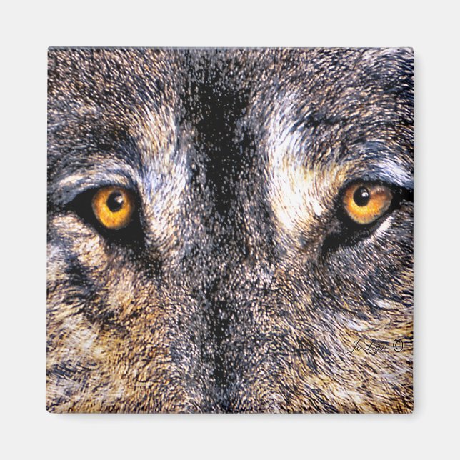 Imán Wolf Eyes Magnet (Frente)