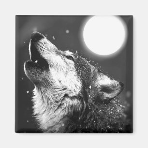 Imán Wolf Howling en la Luna