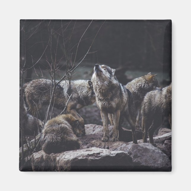Imán Wolf Pack Magnet (Frente)