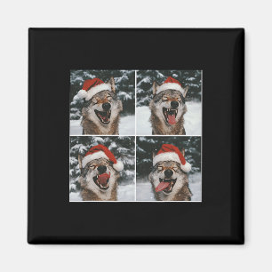 Imán Wolf Winter Photography Wolf Conservation Christma