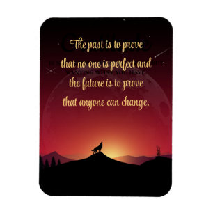 Imán Wolf y el cielo nocturno Nadie es perfecto