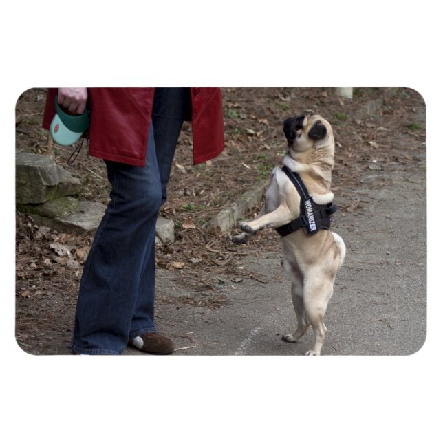 Imán Womanizer (Horizontal)