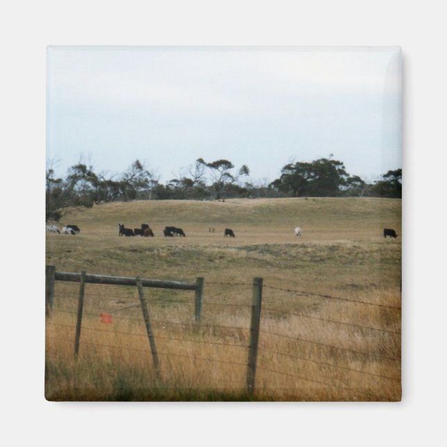 Imán Wonthaggi (Frente)