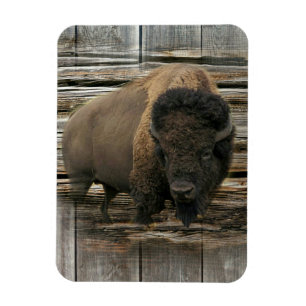 Imán Wood Bison