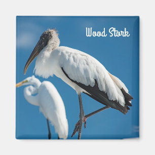 Imán Wood Stork
