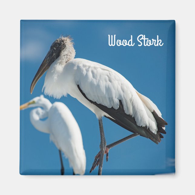 Imán Wood Stork (Frente)