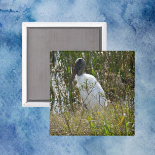 Imán Wood Stork Bird Wetlands Florida Photo