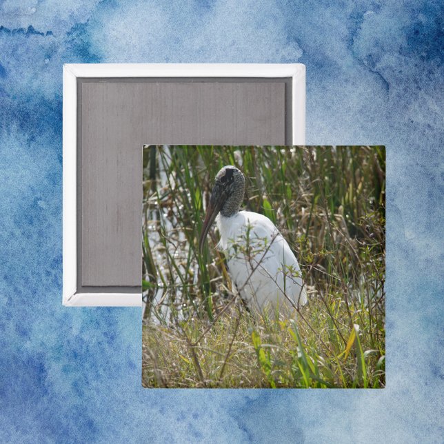 Imán Wood Stork Bird Wetlands Florida Photo (A magnet with a photo of a wood stork bird in Florida)