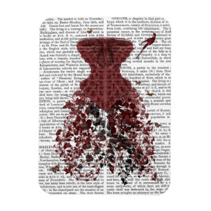 Imán Woodland Corset 2