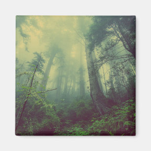 Imán Woodland desde abajo