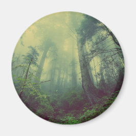 Imán Woodland desde abajo