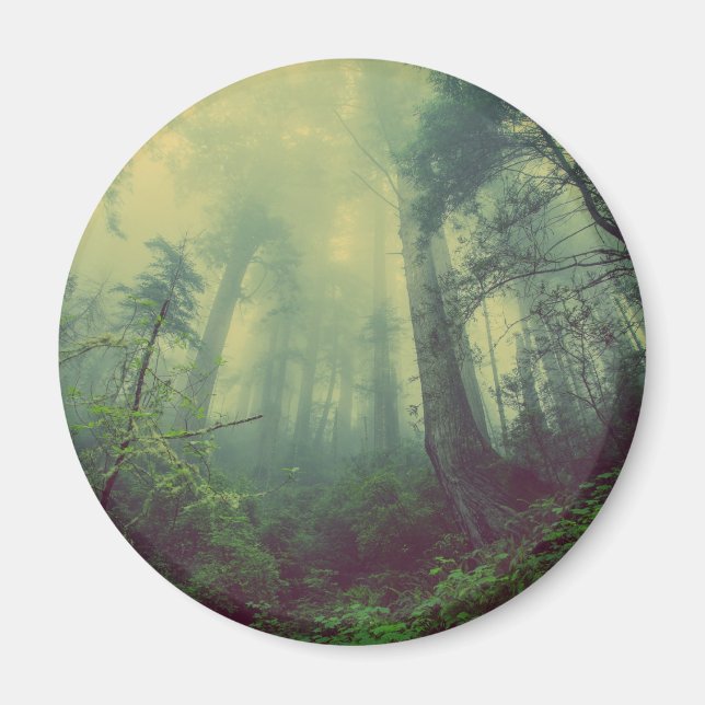 Imán Woodland desde abajo (Frente)