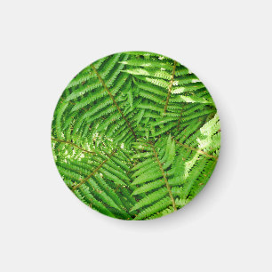 Imán Woodland Ferns