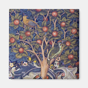 Imán Woodpecker, William Morris
