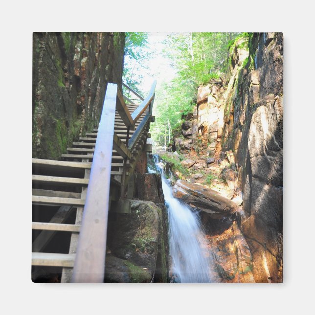Imán Wooke Walkway Waterfall Flume Gorge NH Magnet (Frente)