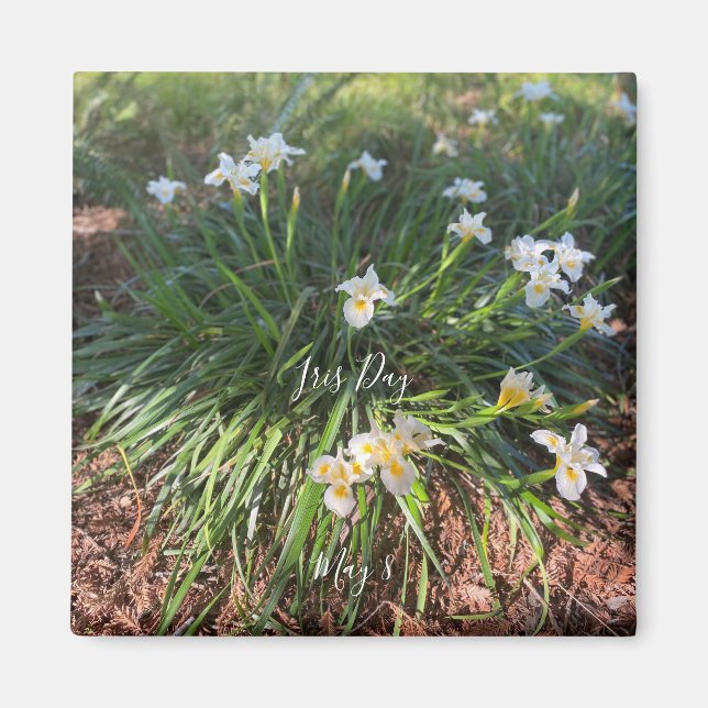 Imán World2Celebrate: Día del Iris (Frente)