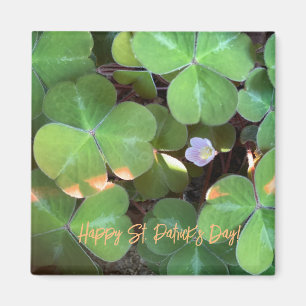 Imán World2Celebrate: ¡Feliz Día de San Patricio!