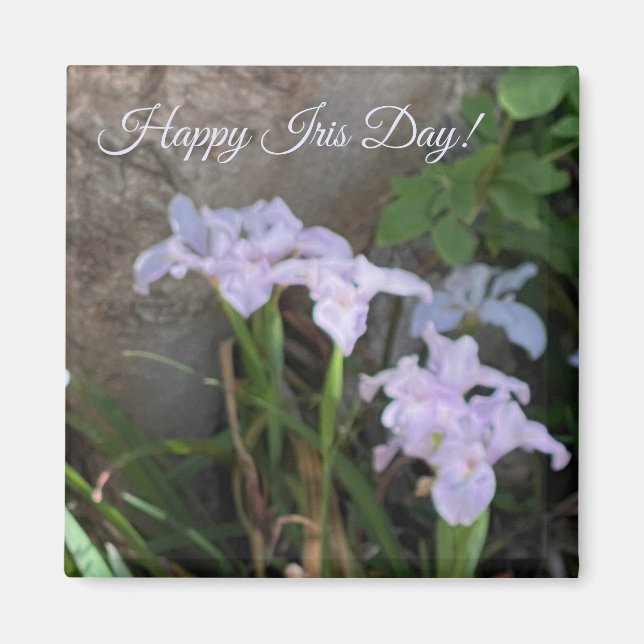 Imán World2Celebrate: ¡Feliz Día del Iris! (Frente)