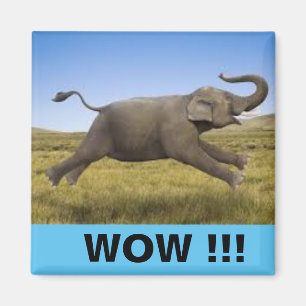 Imán WOW Magnet