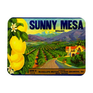 Imán WQ MAGNET: Soleado cristalera
