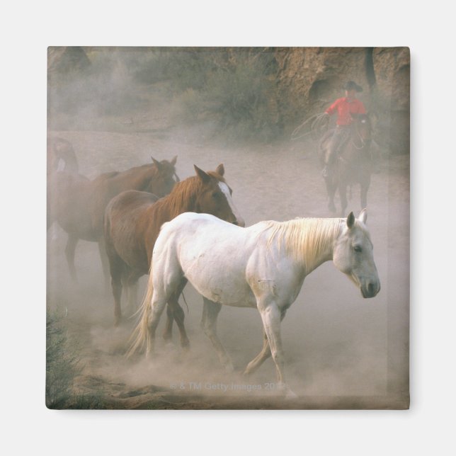 Imán Wrangler con caballos (Frente)