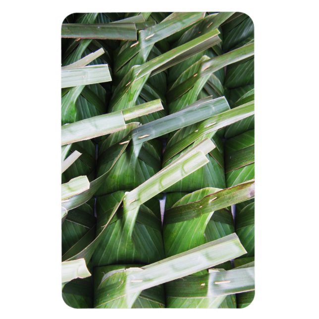 Imán Wrapped Banana Leaf Packets (Vertical)